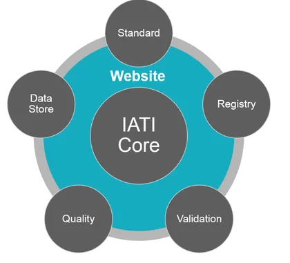 IATI Technical Audit