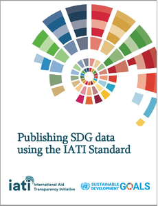 SDG IATI Standard paper