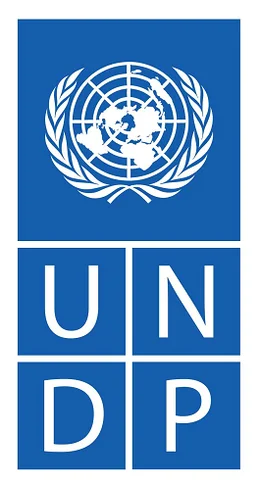 UNDP small