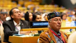 UN Permanent Forum on Indigenous Issues 2